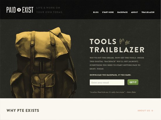 Textured website design example:Paid to Exist