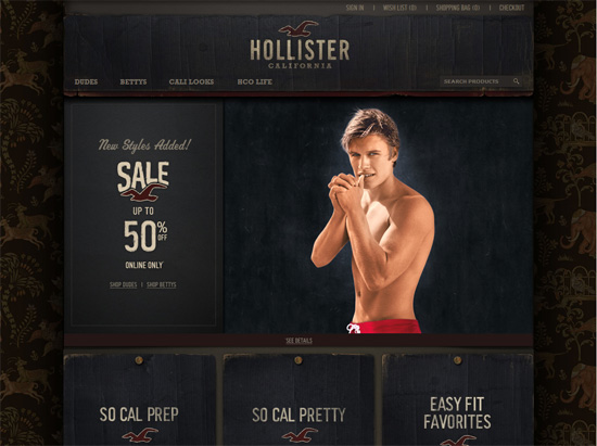 Textured website design example:Hollister Co.